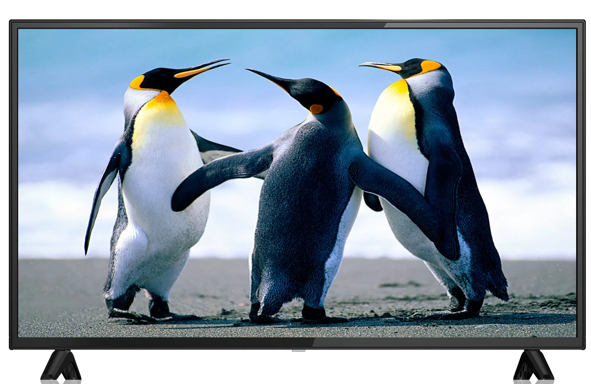 Profilo 39PA220E HD 39'' 99 Ekran Uydu Alıcılı LED TV